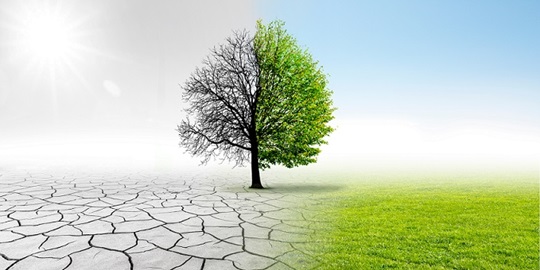 Cambiamento climatico